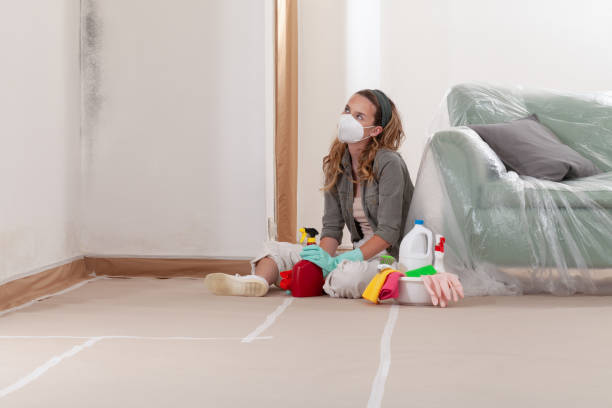 Reliable Mold Testing contractor in Benson, AZ by WQB Mold Removal